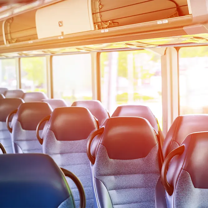 Coach Trips
