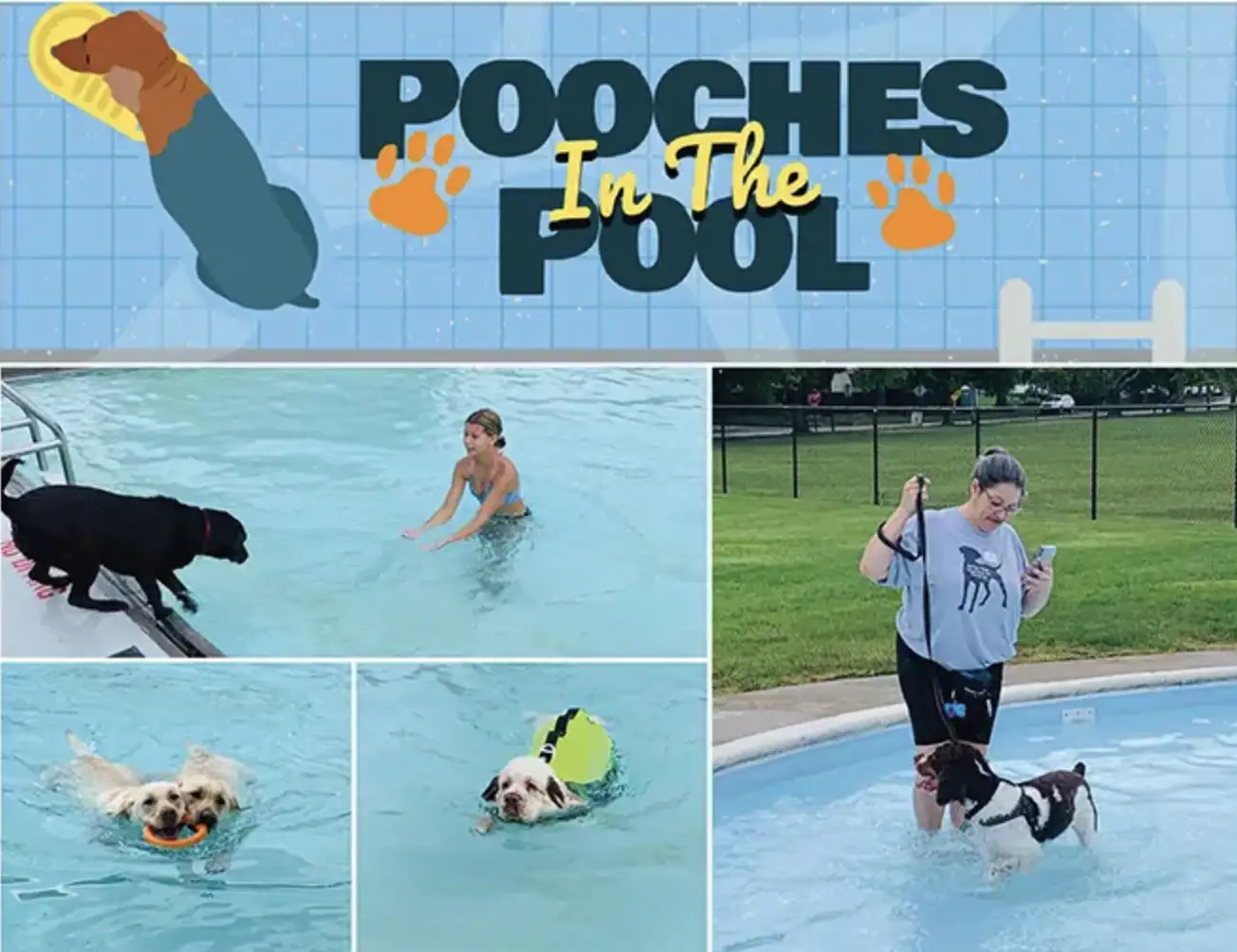 Pooches in the Pool